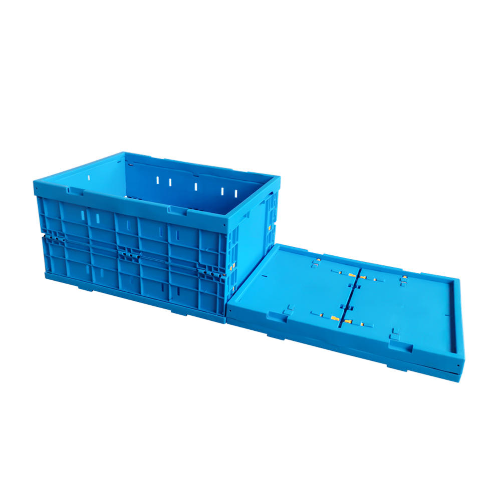 ZJXS4835255W Caja de clasificación plegable Caja de almacenamiento de caja de plástico pequeña