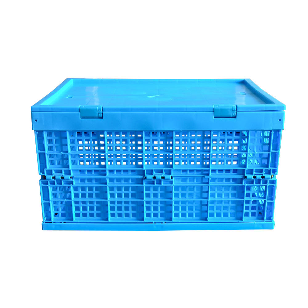 ZJKS4835265C Caja de clasificación plegable Caja de almacenamiento de caja de plástico pequeña