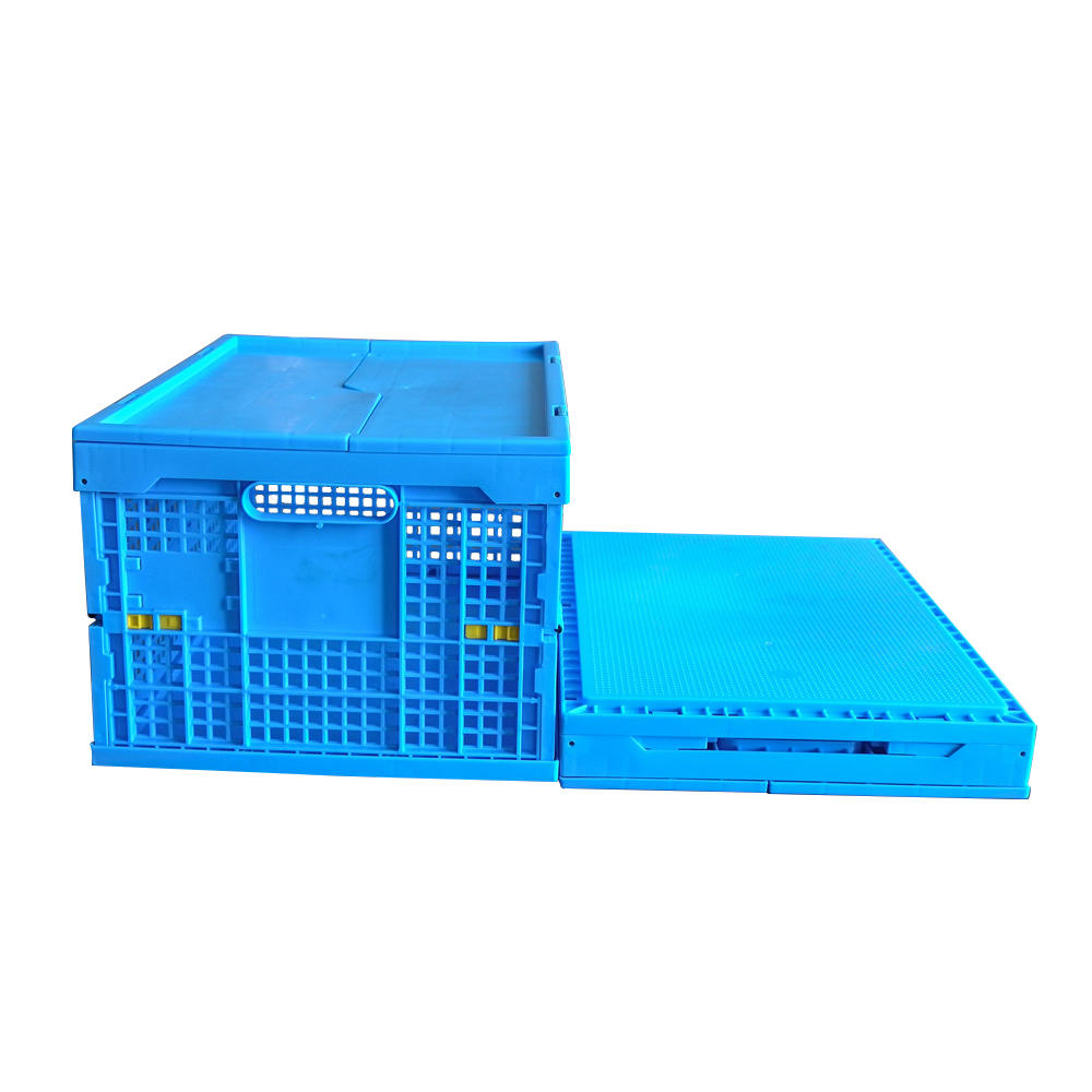 ZJKS4835265C Caja de clasificación plegable Caja de almacenamiento de caja de plástico pequeña