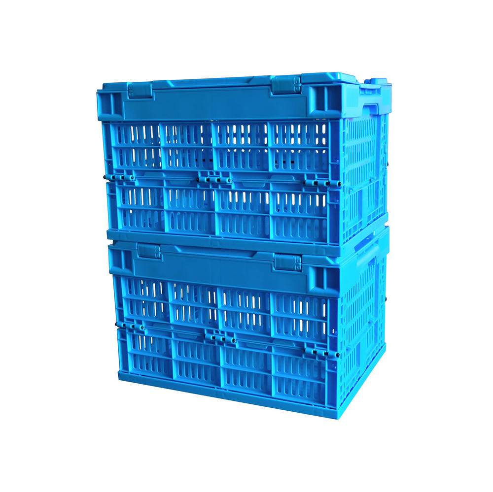 ZJKS4030255C Caja de clasificación plegable Caja de almacenamiento de caja de plástico pequeña