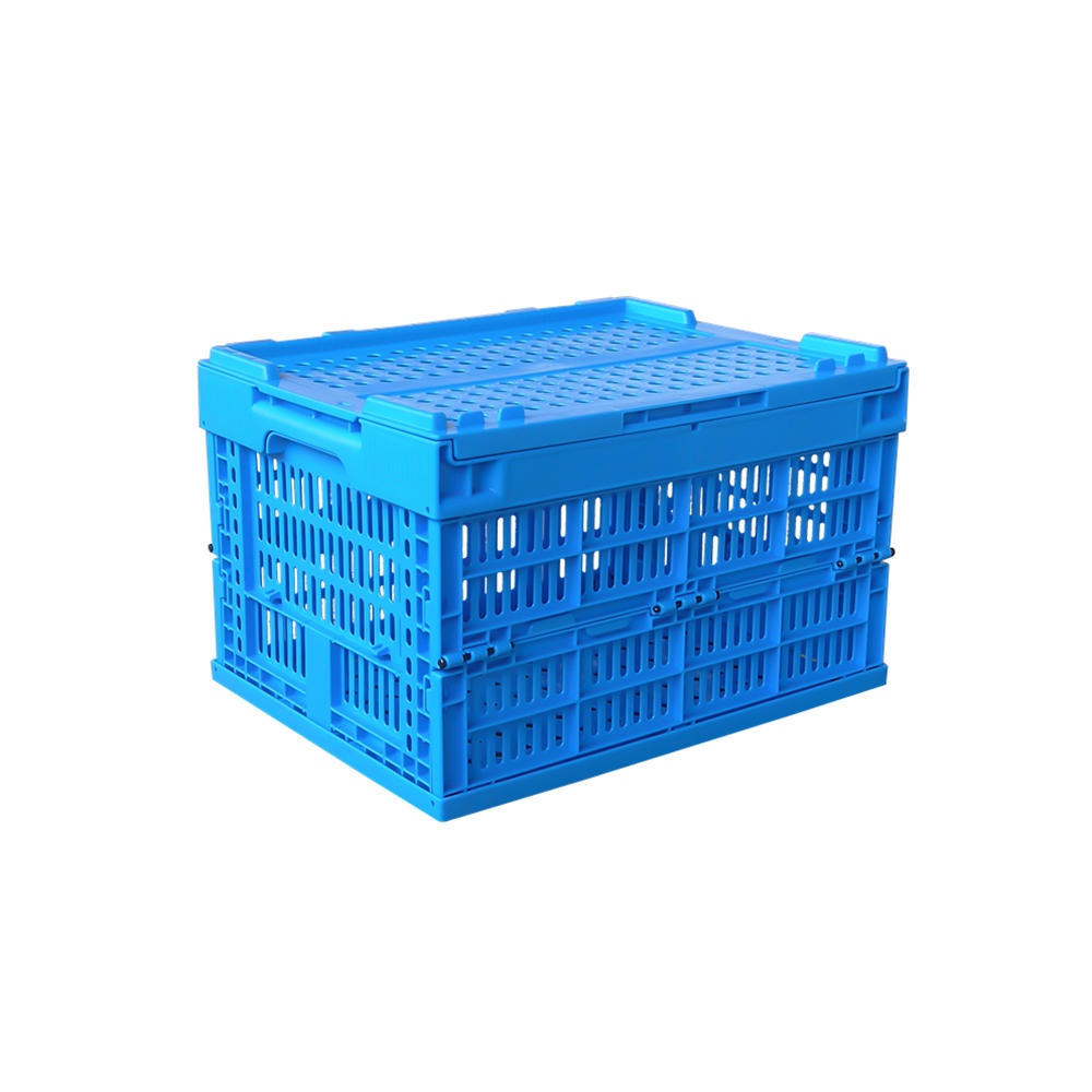 ZJKK4030255C Caja de clasificación plegable Caja de almacenamiento de caja de plástico pequeña