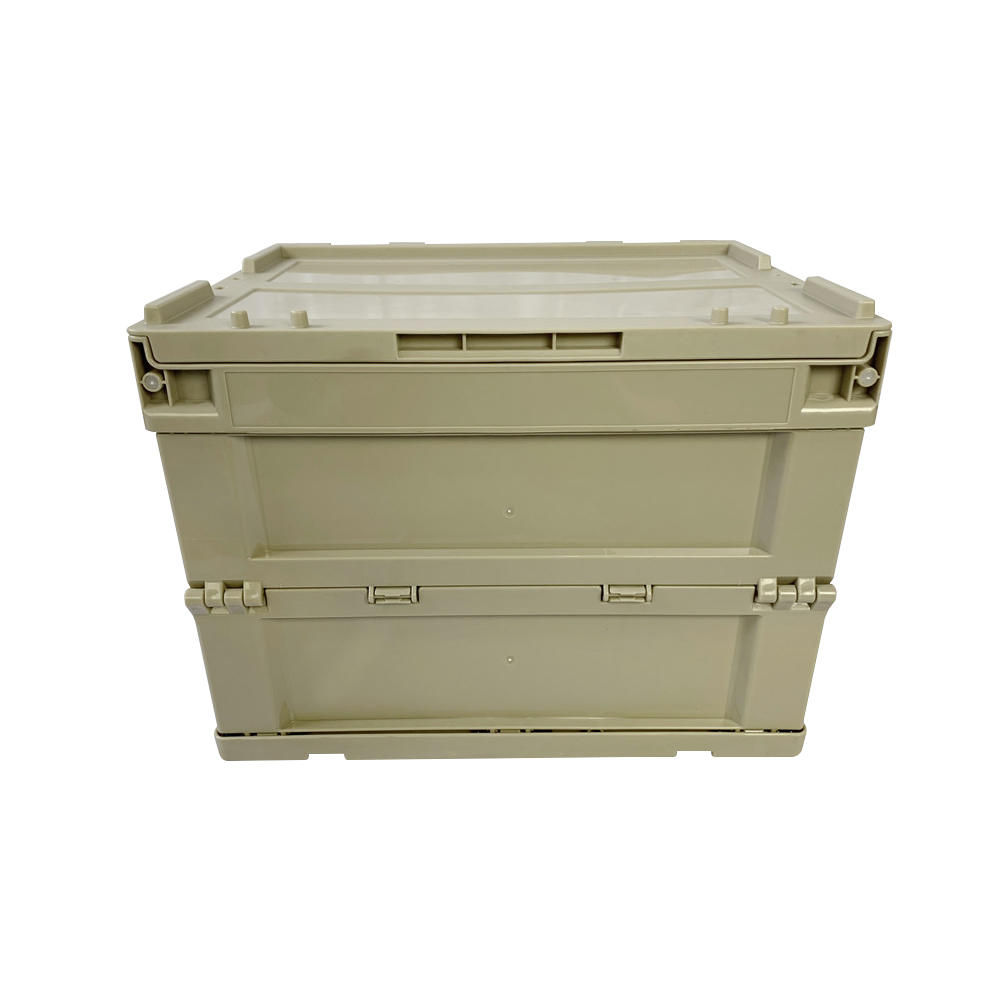 ZJXS3626285C Caja de clasificación plegable Caja de almacenamiento de caja de plástico pequeña