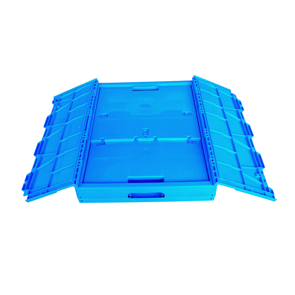 ZJXS765852C Caja de clasificación plegable Caja de almacenamiento de caja de plástico pequeña