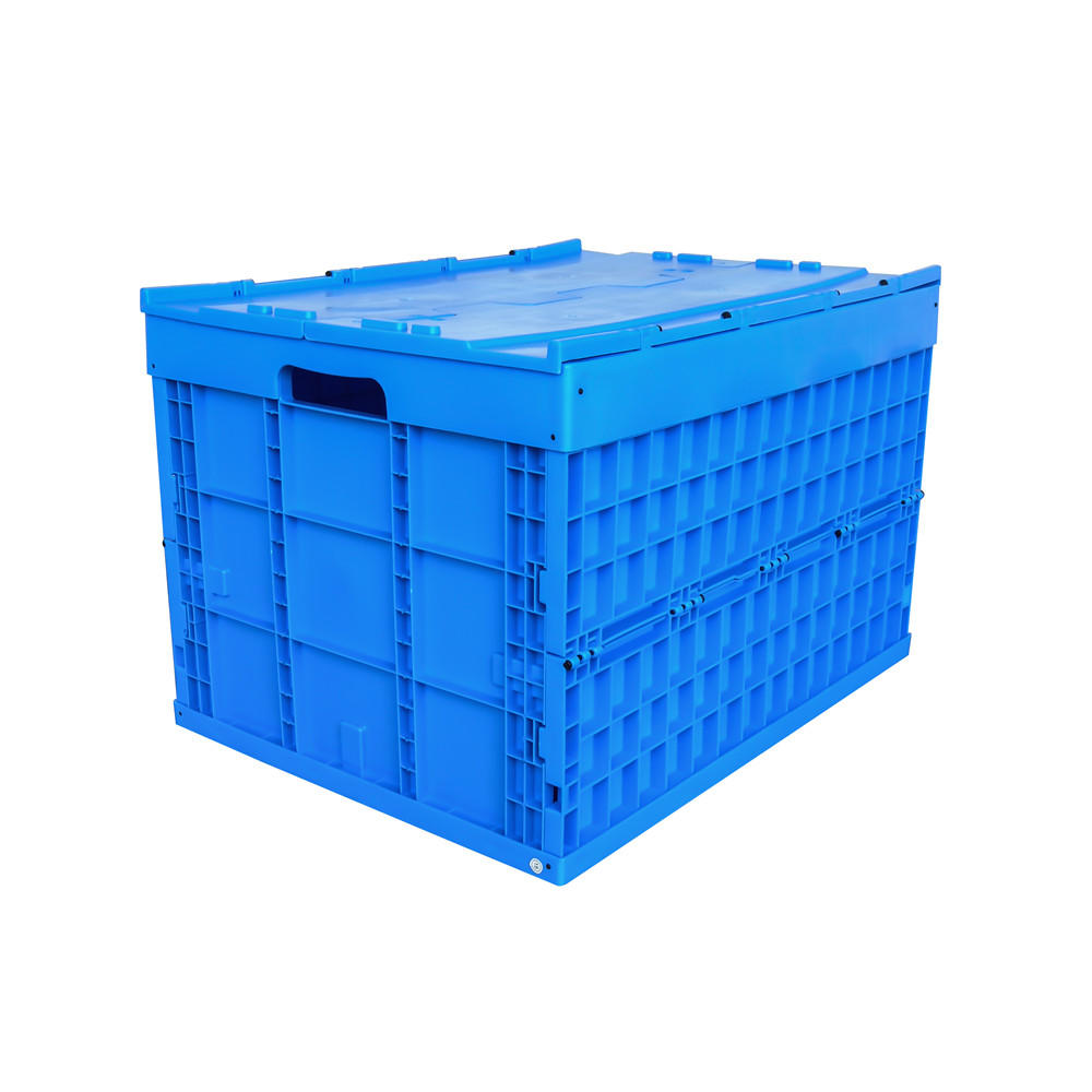 ZJXS765852C Caja de clasificación plegable Caja de almacenamiento de caja de plástico pequeña