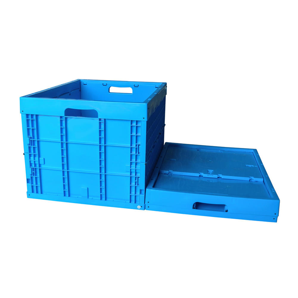 ZJXS765850W Caja de clasificación plegable Caja de almacenamiento de caja de plástico pequeña